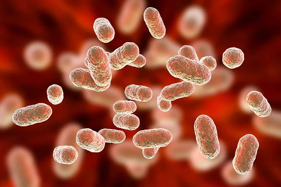 coldchiller_water_foaming_bacteria