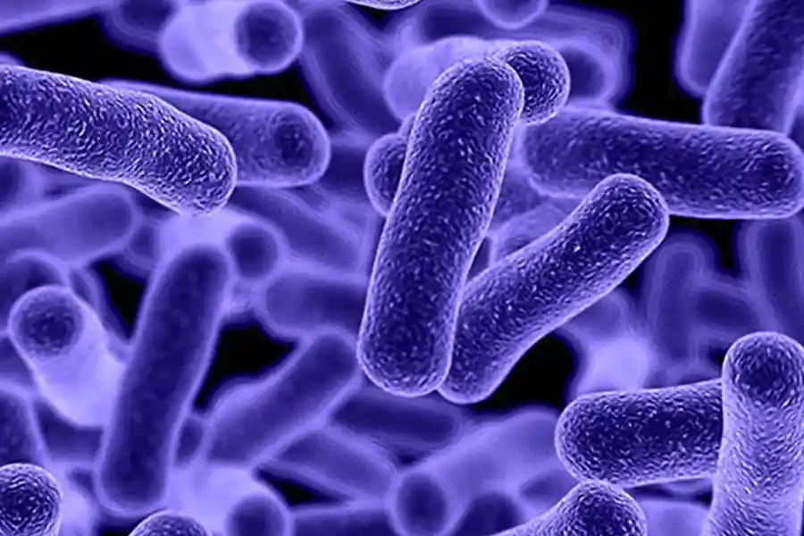 coldchiller_cold_plunge_chiller_with_ozone_5